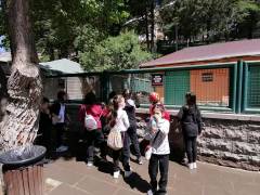 Evrensel Kolej